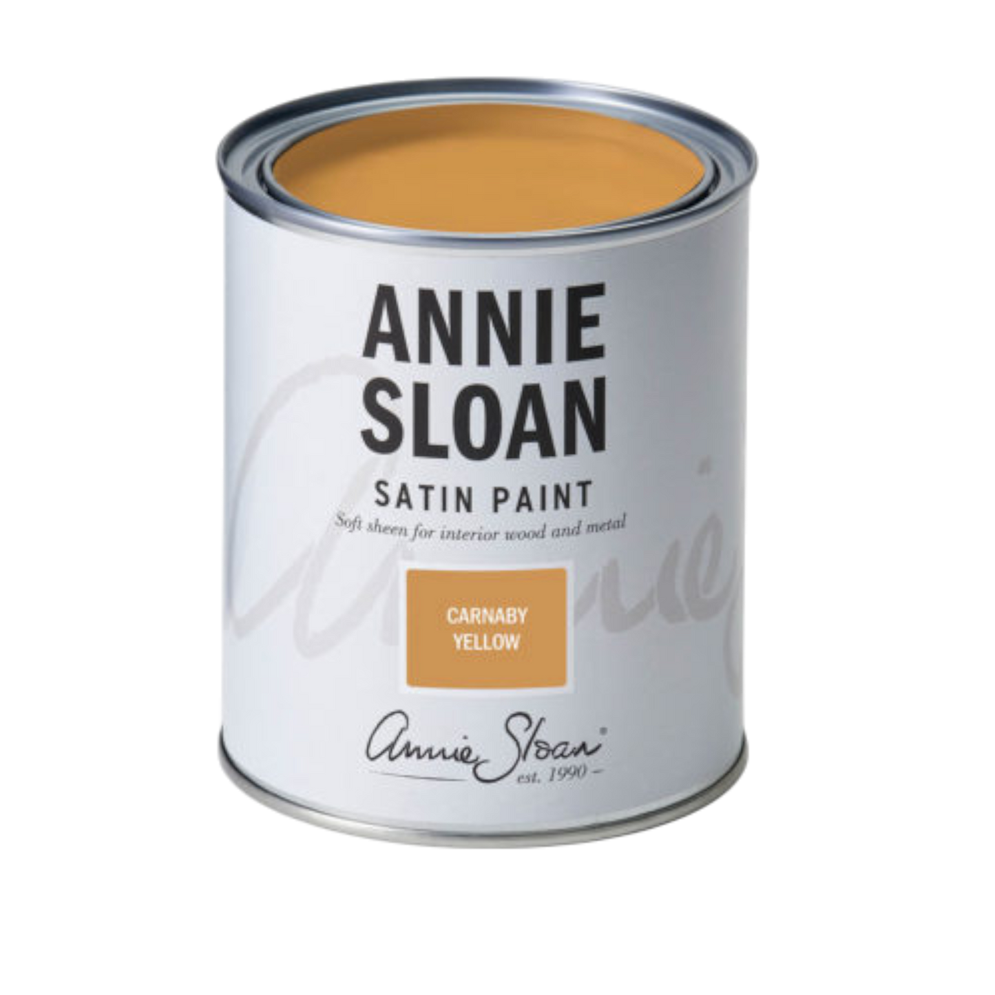 Carnaby Yellow - Annie Sloan SATIN PAINT decorative paint