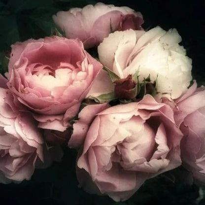 Moody Florals - Mint by Michelle decoupage paper