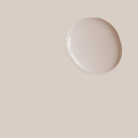 Pointe Silk - Satin Paint Annie Sloan 750ml decorative paint