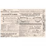 Papel tissue decoupage Floral Text – recortes de periódico botánico vintage con flores e ilustraciones de la naturaleza, Redesign with Prima