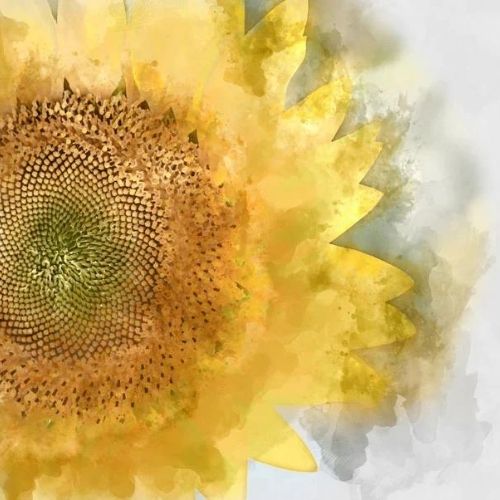 Sunflower - Mint by Michelle decoupage paper